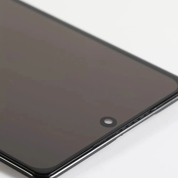 Pixel 6 ຫນ້າຈໍ LCD
