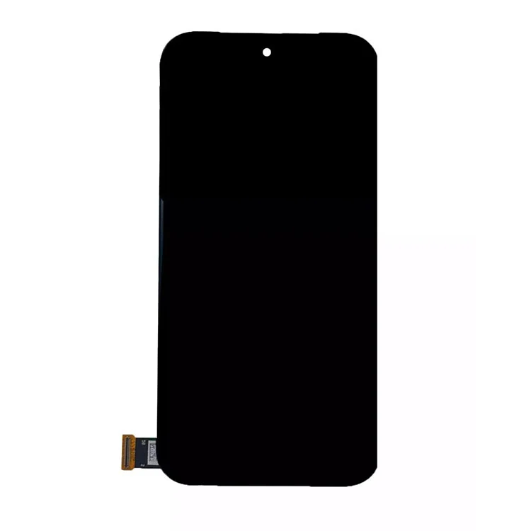 ຫນ້າຈໍຂອງ Pixel 9 Pro Fed LCD