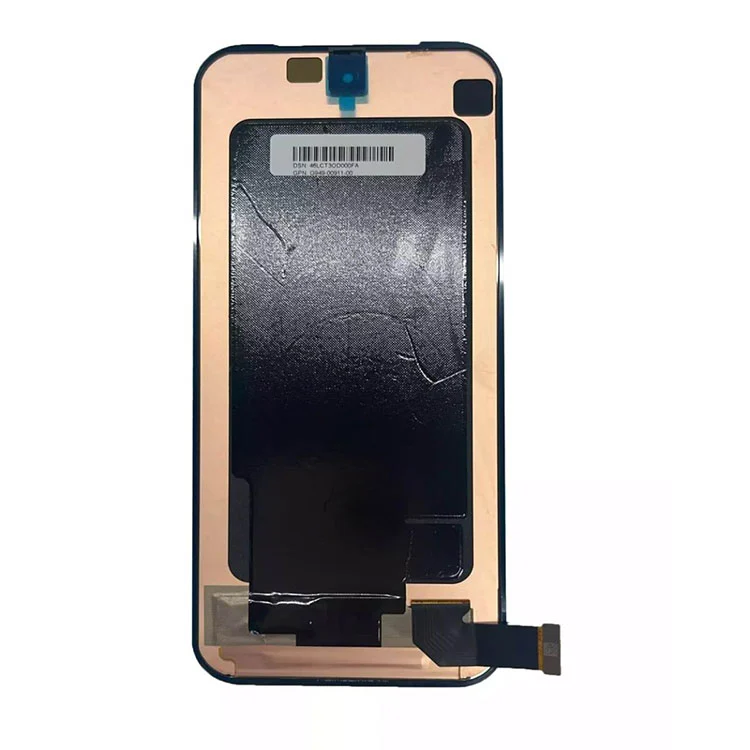 ຫນ້າຈໍຂອງ Pixel 9 Pro Fed LCD